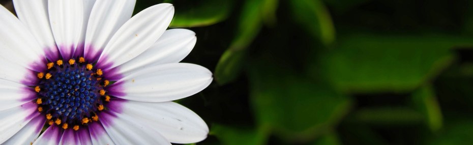 diana-parisi-naturopathe-marignane